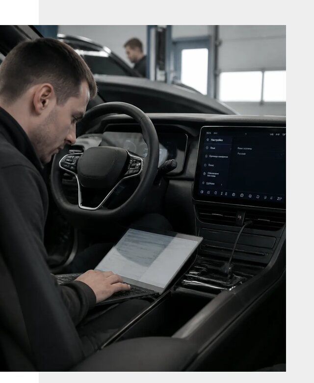 Русификация автомобилей BYD под ключ для всех моделей в Междуреченске